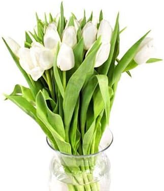 Tulips, White (100 stems)