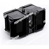 Amazon.com: Sony LMP-H400 Replacement Lamp for VPL-VW100/P ...