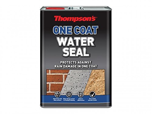 TWSU5L 5L Thompson's One Coat Water-Seal by Thompsons