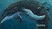 The Eye of the Whale: A Rescue Story (Tilbury House Nature Book)