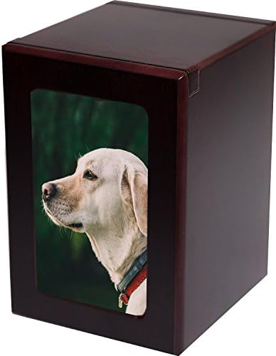 Precious Paw Memorials Photo Pet Urn For Ashes Medium Cremation Box