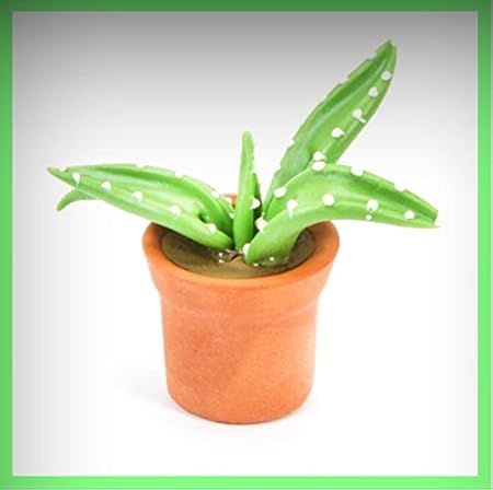 miniaturas casas de muñecas y complementos