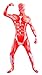 Sheface Muscle Spandex Full Bodysuit Zentai Hallowmas Costume (Medium, Muscle)