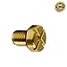 Tulga Fifth Wheel Replacement Coolant Tank Bleeder Screw Upgrade Brass Coolant Reservoir Screw for BMW E46 E92 E90 E36 E39 Mini Cooper OEM Quality