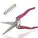 Pruning Shears Straight Tip Pruning Trimming Scissors Florist Scissors-Stainless Steel Ultra Sharp Multi-Purpose Hand Pruner Scissors for Garden Harvesting Fruits Vegetables, Trimming Flowers, Pinkthumb 1