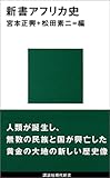 新書アフリカ史 (講談社現代新書)