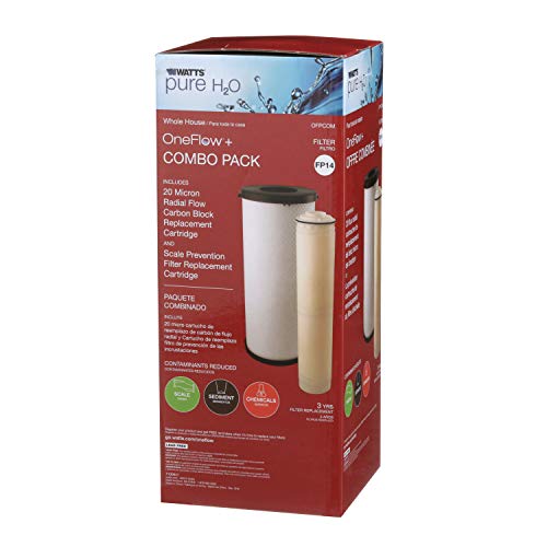Watts Premier Whole House OneFlow Plus Combo Water Filter