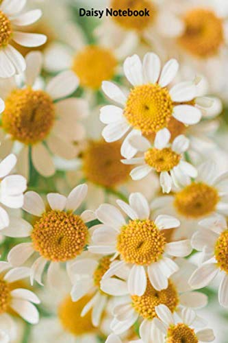 Daisy Notebook: Portable lined Daisy - Travel Journal to write in - 120 pages - 6"x9"