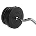 Best Choice Products 55lb 1in EZ Curl Bar Barbell Weight Set w/ 2 Lock Clamp Collars, 6 Plates - Silver/Black