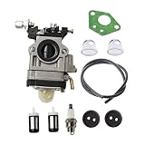 Janrui 300486 Carburetor with Repower Tune-Up Kit for Earthquake E43 E43CE E43WC Auger MC43 MC43E MC43CE MC43ECE MC43RCE Tiller MD43 WE43 WE43E WE43CE Edger