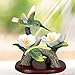 BANBERRY DESIGNS Hummingbird Figurine Porcelain with Pink Flowers with Separate Wood Base 4.5 Inch