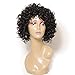 Jolia Hair Fashion Gorgeous Hairstyles Synthetic Short Curly Wavy Full Hair Wigs for Women Natural Look, Jet Black (D03)