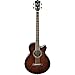 Ibanez AEB10E DVS 4 String Acoustic Electric Bass Guitar with Spruce Top and AEQ-SP2 preamp w/Onboard Tuner (Bundle) with Clip on Guitar Tuner and 4 Zorro Sounds Guitars Picks - Dark Violin Sunburst