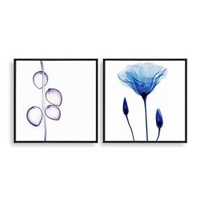 2 Piece Framed Canvas Home Artwork Decoration Transparent Flower Canvas Wall Art for Living Room, Bedroom - 16"x16"x2 Panels