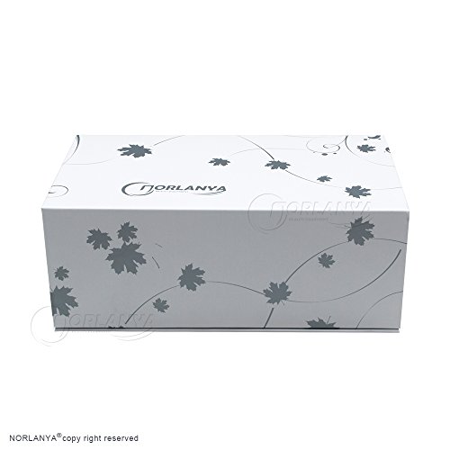 NORLANYA Facial Skin Care Time Master, RF Face Toning, Face Lift Device 5 Colors LED Photon Therapy Rechargeable Black