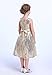 Bow Dream Lovely Lace V-Neck Sleeveless Flower Girl Dress