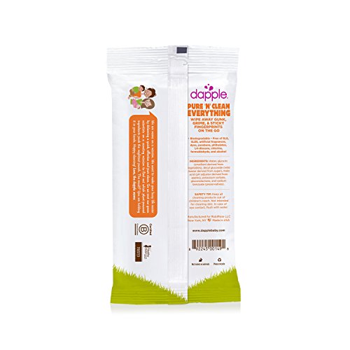 Dapple Baby All Purpose Travel Size Wipes, Fragrance Free, 0.60 Ounce