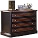 Coaster Home Furnishings Pergola 2-Drawer File Cabinet Espresso and Chestnut, Espresso/Brown/Red,40 W x 25 D x 30 H, 800514