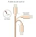 Direct Wire & Cable Nylon USB Lightning Cable Charging Cable for iPhone, 9 Inch, 3 Pack - Gold
