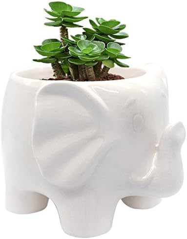 GeLive White Elephant Succulent Planter, Ceramic Plant Pot, Window Box, Animal Decor with Draining Hole, Foot Hollow, Retains Moisture