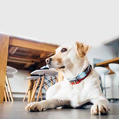 BARTUN Mini Pet Tracker GPS Locator for Dogs Cats 28lb Waterproof IP67 Real Time Activity Monitor AGPS LBS SMS Positioning Tracking Device with Collar Included SIM Card (Blue) - Thumbnail 2
