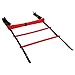 REEHUT Agility Ladder w/Free User E-Book + Carry Bag - Speed Training Equipment (Red, 8 Rungs)