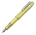 Delike Brass Fountain Pen Extra Fine 0.38 mm Pocket Pen for Business Signature in Metal Gift Box