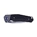 Knife F7491-BK by Ganzo G7491 Firebird Pocket Folding Hunting Knife G-10 Handle SS Blade