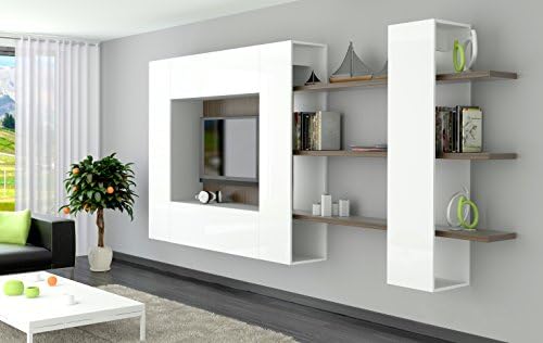 Brinn V Modern Wall Unit / Entertainment Center / Many Price Winner Design / Contemporary Design Furniture / Modular Furniture