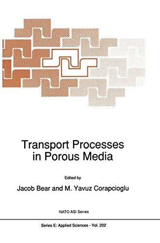 Transport Processes in Porous Media (Nato Science Series E:)