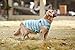 Puppy Face Striped Shirt for Dog Tank Pet Shirts Green and Grey Wide Stripe Pet Clothes for Dogs Large