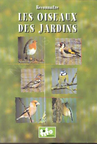 Reconnaitre Les Oiseaux Des Jardins