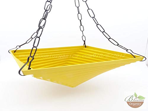 Antier Twister Yellow Hanging Chain Pot/Decorative Twister Pot