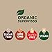 Cacao Nibs Organic Raw Superfood by SOW+BLOOM – Sugar Free, Gluten Free, Non GMO - 1 lb (16 oz), Not Cocoa Nibs