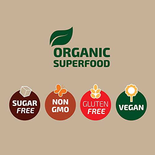 Cacao Nibs Organic Raw Superfood by SOW+BLOOM Sugar Free, Gluten Free