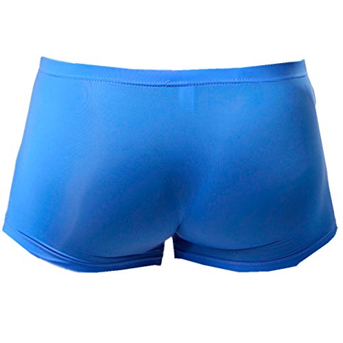 ManxiVoo Mens Sexy T Lingerie Elephant Bulge Boxer Briefs Underwear Pouch Ice Silk Underpants Shorts Knickers (XXL, Blue)