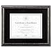 DAX Convenient Certificate Holder (N15790ST)