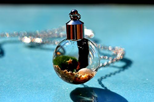 A Thousand Wishes Live Marimo Moss Ball Terrarium Necklace // 101% Natural Beach Sand from Japan