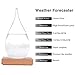 Hotbest Stylish Creative Desktop Water Drop Decorative Bottle, Weather Forecast Storm Glass Weather Station-Large