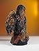 Gentle Giant Star Wars: Solo: Chewbacca Mini-Bust
