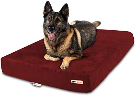 big barker bed amazon