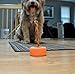 Bully Stick Holder for Dogs - Medium Size - Interactive Dog Toy, Dog Treat Holder, Slow Feeder, Treat Dispenser, Chew Toy and Dog Safety Device