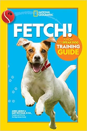 dog training help