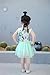 Niyage Little Girls Sleeveless Floral Princess Dress Tulle Tutu Sundress 5 Green