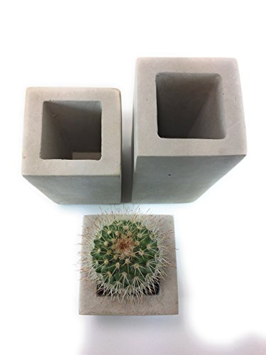 Square Concrete Succulent Planters / Air Plant Holder / Vase. (set of 3) Natural Gray. - Thumbnail 4