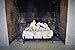 Terra Flame Gel Log Set Fireplace Insert, 18 Inch, White