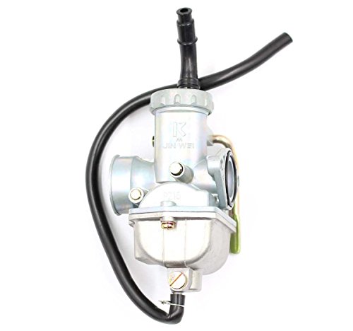 GooDeal Lawn mower Carburetor with Air Fuel Filter (for Taotao 110CC ATA110B ATA110D ATA110F)