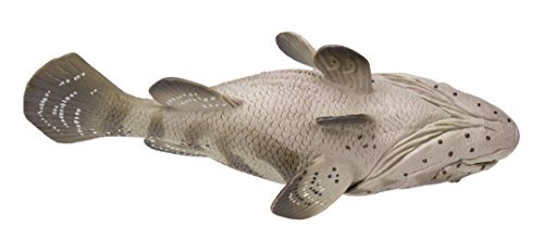 Safari Ltd. Goliath Grouper