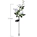 Homeleo Solar Powered Garden Flower Lights Outdoor, Waterproof Artificial Rose Decorative Lights for Christmas Garden Backyard Patio Pathway Front Yard Decoration- White