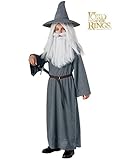 Gandalf the Grey Child Costume - Large